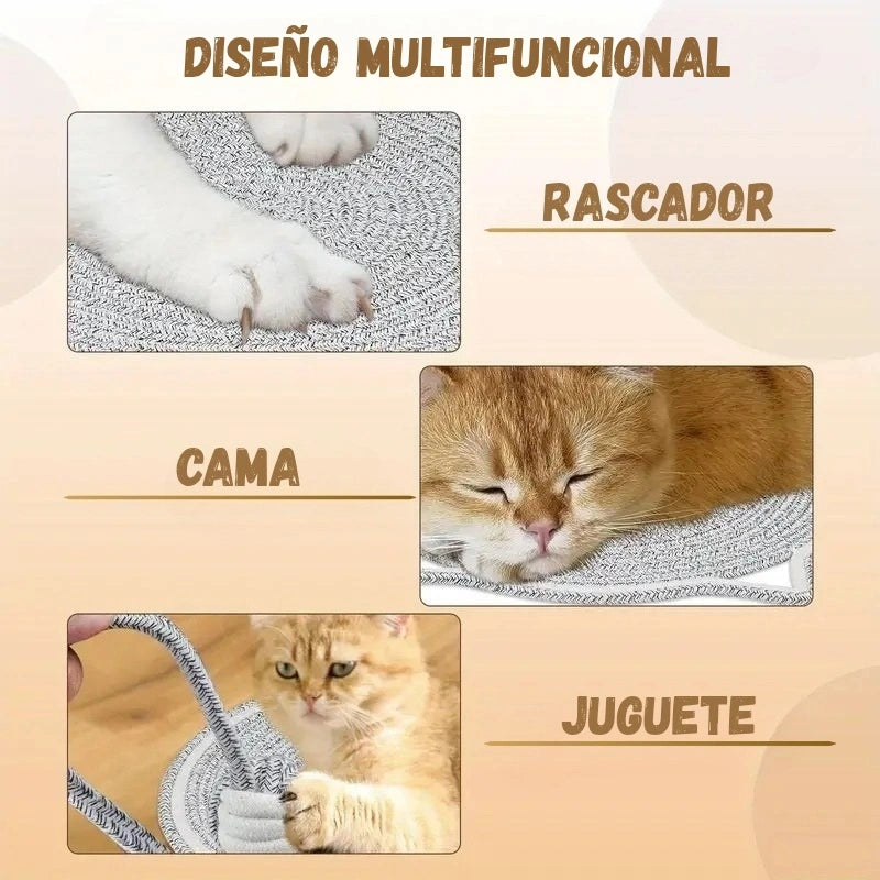 Encabezado