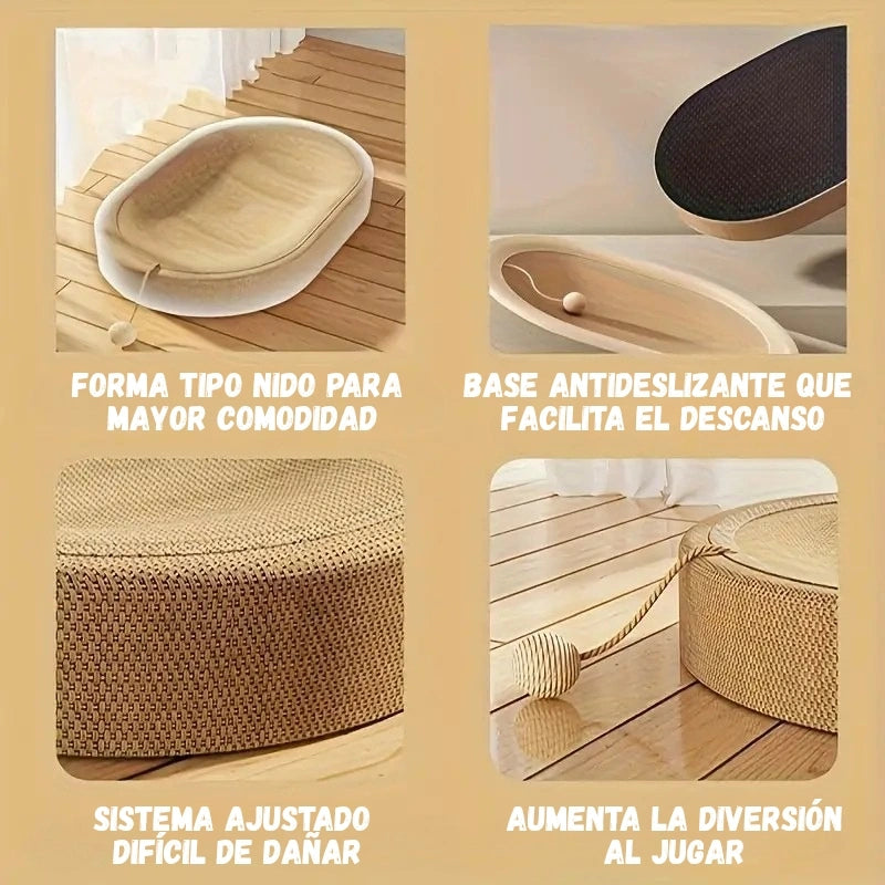 Encabezado