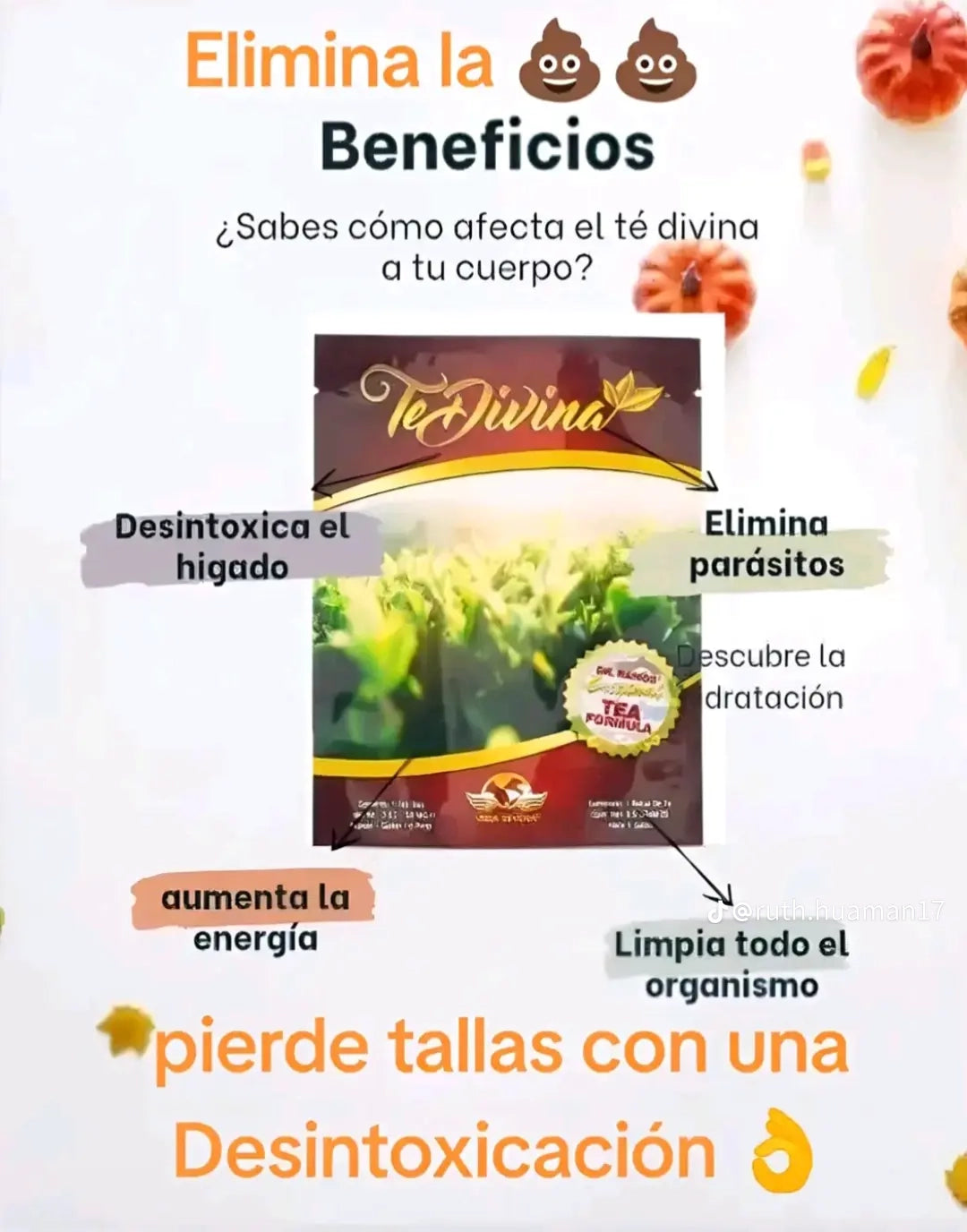 Encabezado
