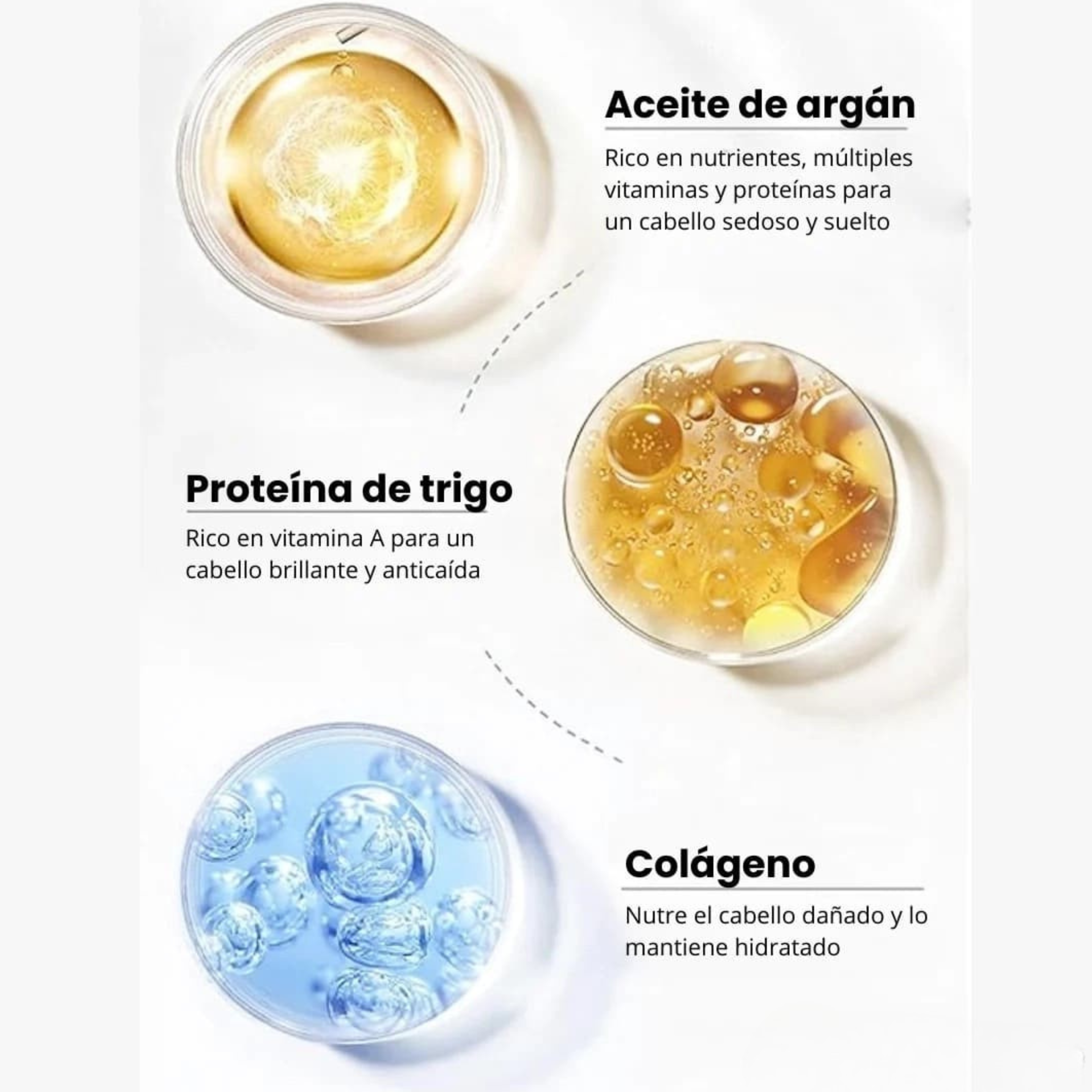 Encabezado