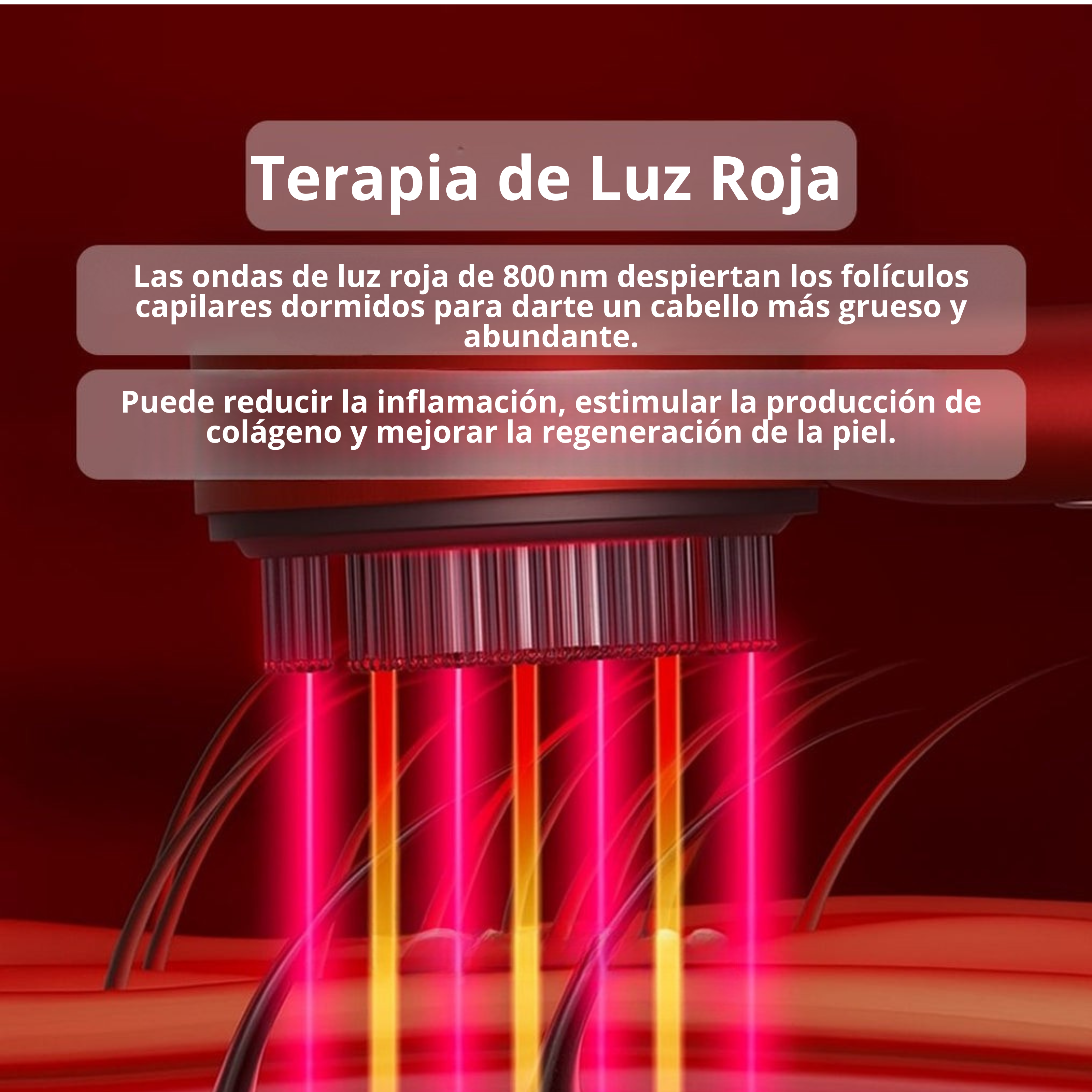 Encabezado