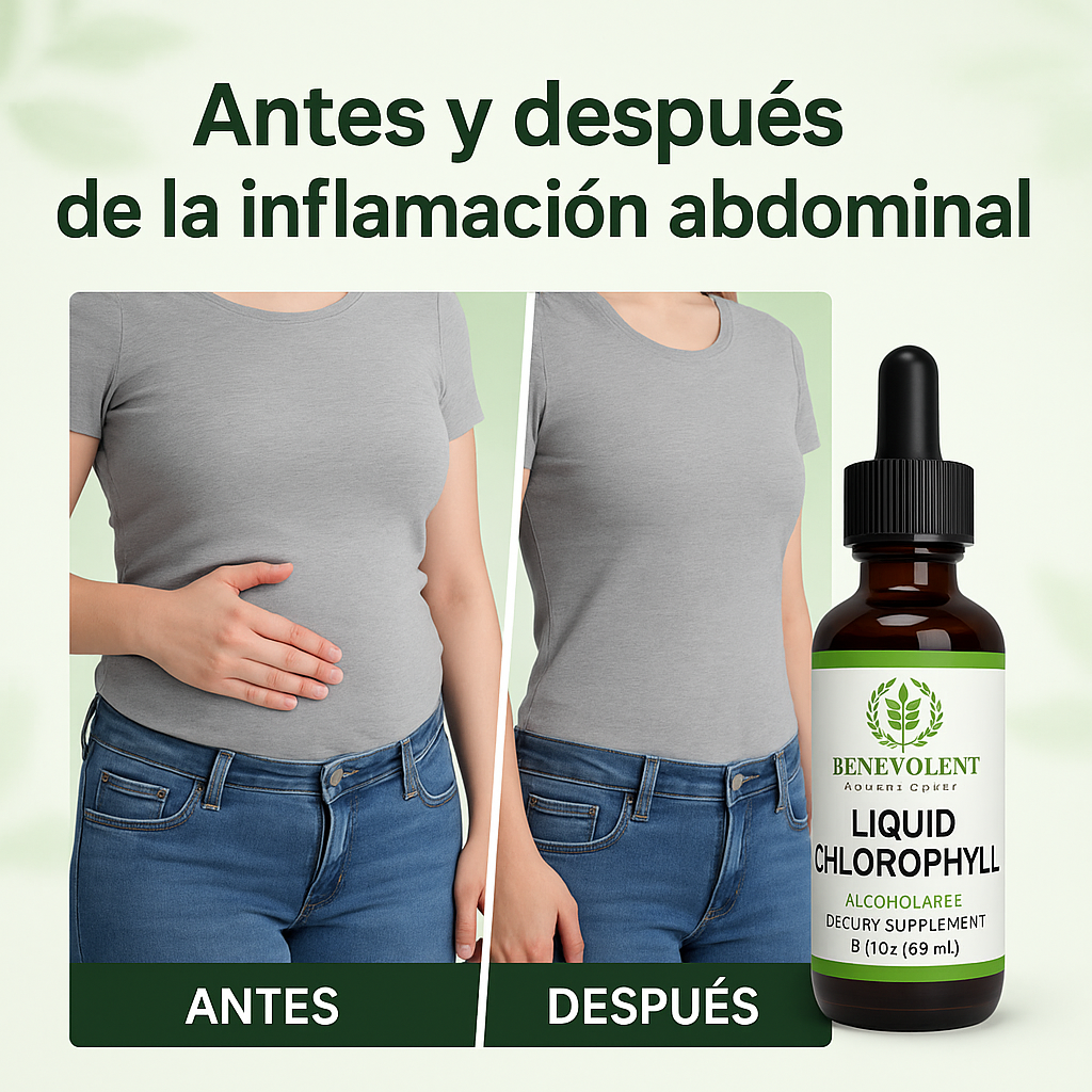 Encabezado