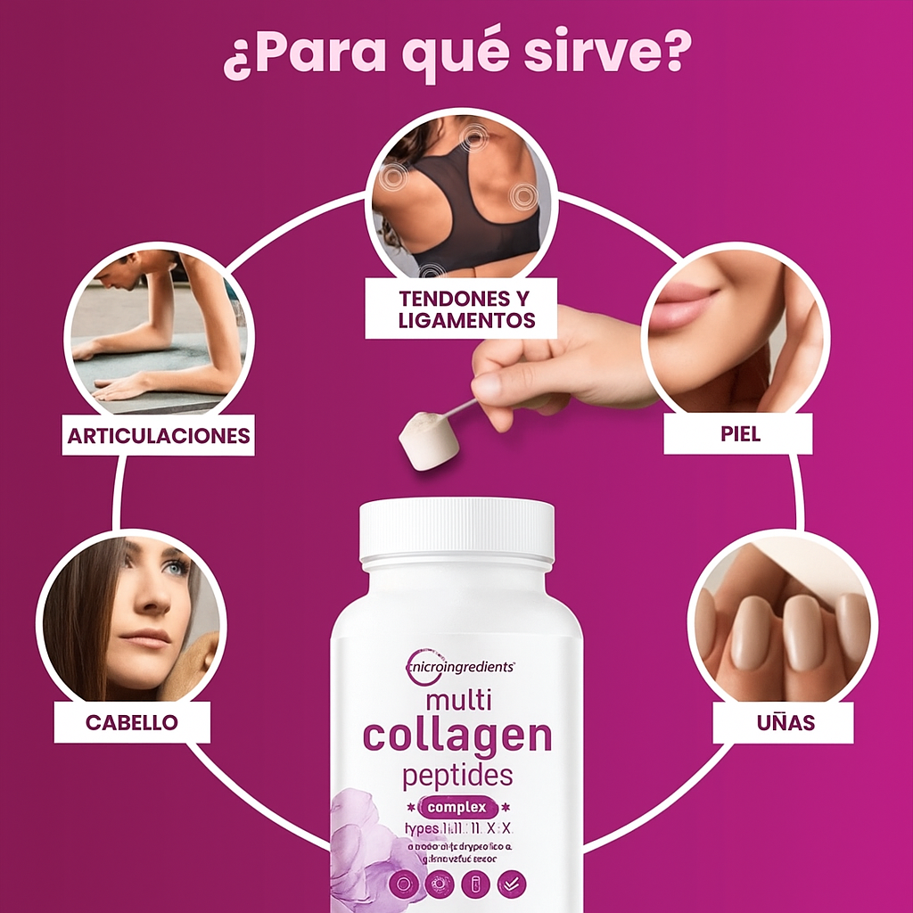 Encabezado