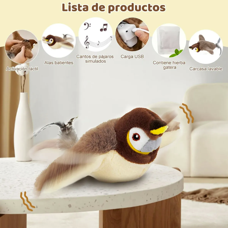 Encabezado