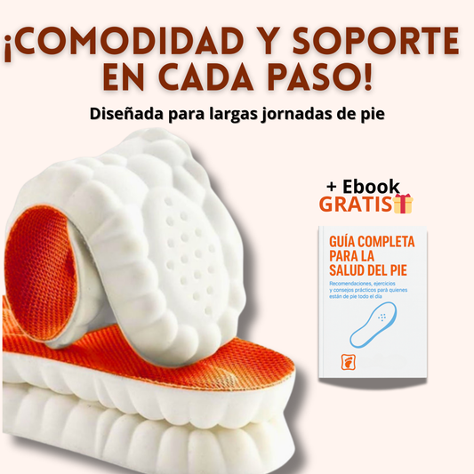 Plantilla Zapatos 4D